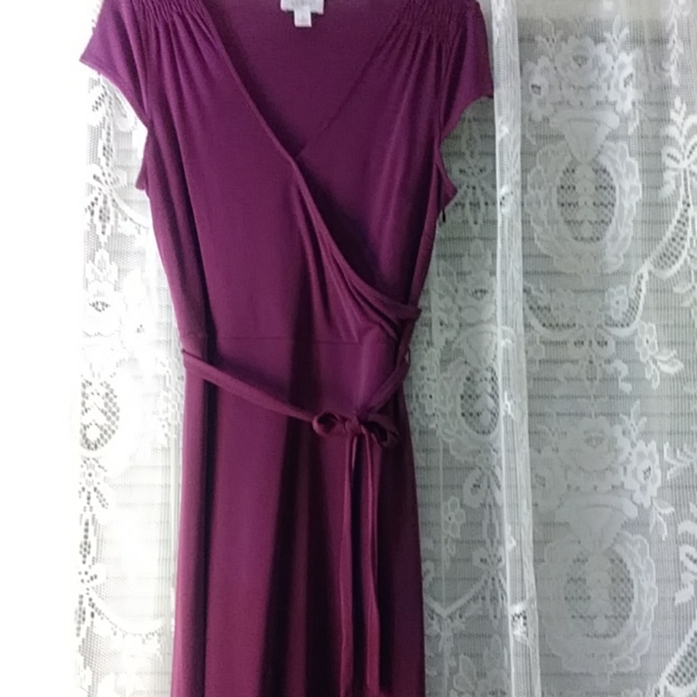 Ann Taylor Loft dress